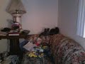 My Cot cars