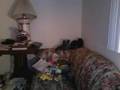 My Cot cars