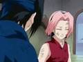 Sakura Otto sprytna i wybitna