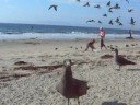 the best way to get rid of old bread