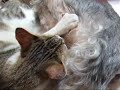 至福の時