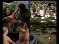 festa flores 1