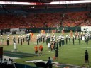 Banda Canes Banda Canes