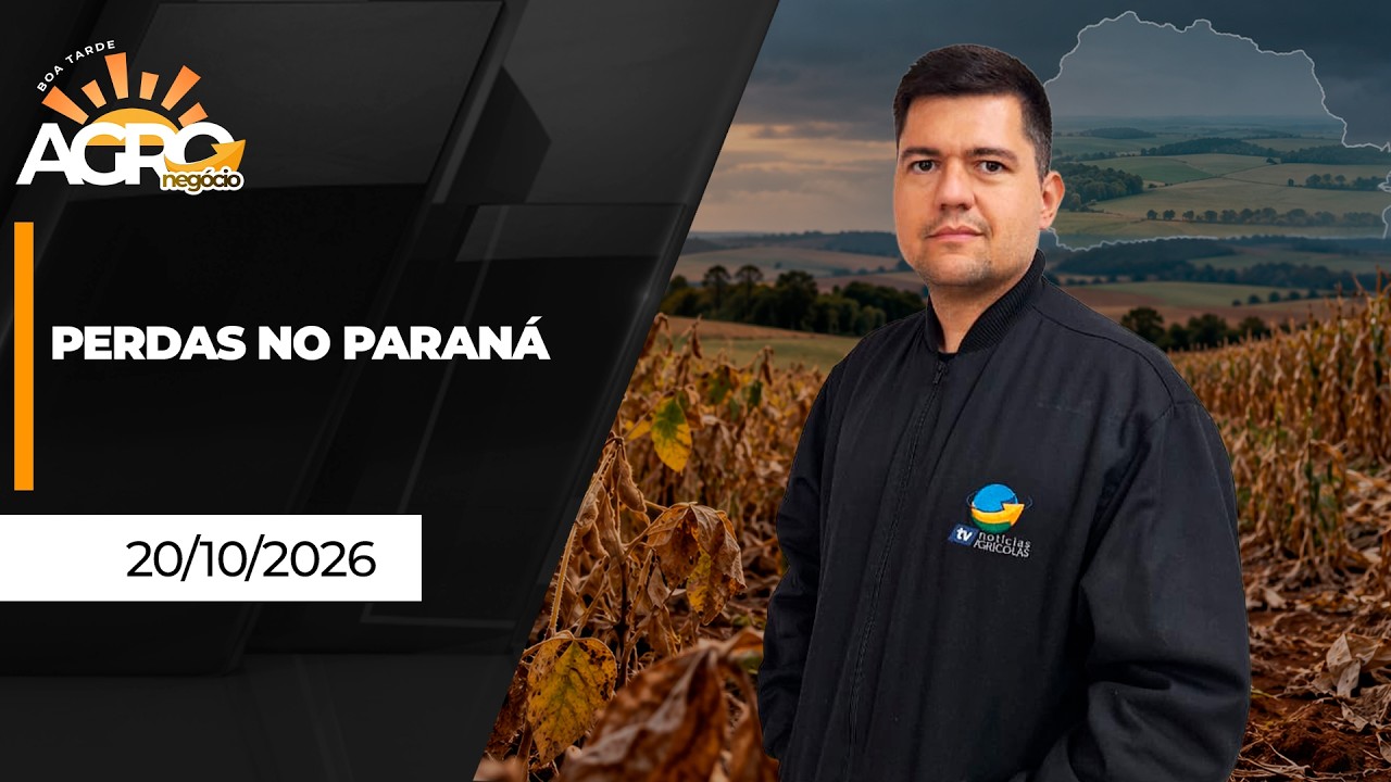 BOA TARDE AGRO - Perdas no Paraná