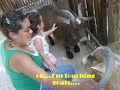 See Video