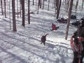 More Sledding