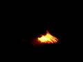 atompilz feuer