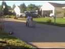 stupid stunts