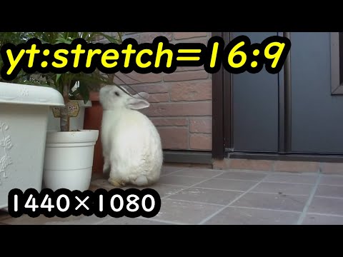 yt:stretch=16:9 - Gigashotで撮影したフルHD(1920×1080)を、Windows Vistaに付属するWindows ムービー メーカーで、Windows Media HD...