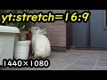 yt:stretch=16:9 テスト