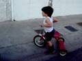 videos de Milan on his tricycle
