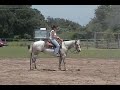 Horse for Sale by Bacon