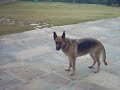 un fin de semana nos fuimos a un hotel rural ke se llama cal segudet donde izo una amiga