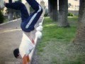 parkour trailer urban wolf (trezer)