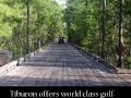 Tiburon Golf Club Naples Florida Real Estate and Homes