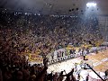 Aris - mpaok
