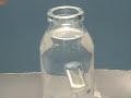 zum abtauchen muss die person ihren auftrieb durch bleigurte verringern. im modell kommen diese gewichte in eine verschlossene hohe 5-ml ampulle. 100-ml infusionsflaschen voll s��wasser bzw. kochsalzl�sung sind modelle f�r einen see oder ein meer.
da meerwasser einen h�heren auftrieb hat, muss der taucher dort zum abtauchen mehr bleigewichte tragen.
f�r das auftauchen erh�hen taucher/innen ihren auftrieb, indem sie mehr luft in eine 