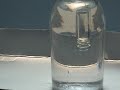 zum abtauchen muss die person ihren auftrieb durch bleigurte verringern. im modell kommen diese gewichte in eine verschlossene hohe 5-ml ampulle. 100-ml infusionsflaschen voll s��wasser bzw. kochsalzl�sung sind modelle f�r einen see oder ein meer.
da meerwasser einen h�heren auftrieb hat, muss der taucher dort zum abtauchen mehr bleigewichte tragen.
f�r das auftauchen erh�hen taucher/innen ihren auftrieb, indem sie mehr luft in eine 
