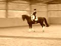 Goodbye - Summersby & Minou Didier