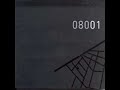 08001 - Disfunction