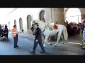 Spanische Hofreitschule Wien