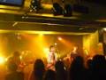 LIVE 下北沢で捕まえて ( ラバーフェニックス)