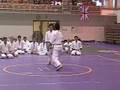 2007 Shodokan World Games