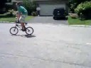 Jack ass wipe out # 2