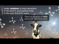 The Carbon Economy | By The Economist & XPLANE