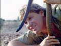homenaje a steve irwin  el cazador de cocodrilos 
