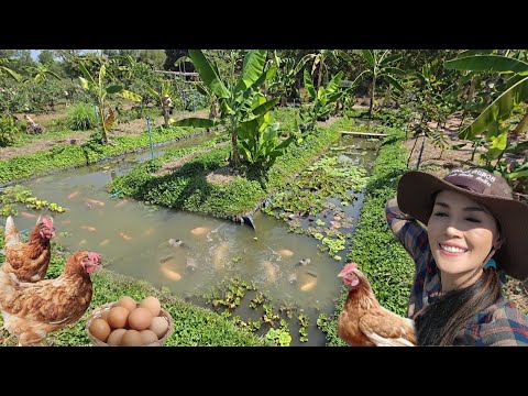 พื้นที่ 1 งานสร้างแหล่งอาหารครบวงจร!! ทำเกษตรเพิ่มใหม่พื้นที่ไม่เท่าไหร่..แต่ทำไมมีครบ??