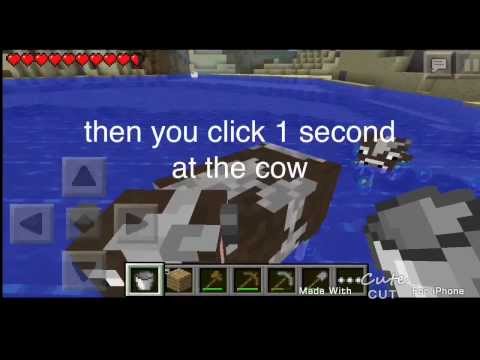 how to milk a cow in minecraft p.e