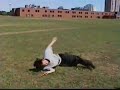 this fight was taken from the project: director's cut titled 