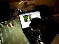 Tomtom Watching Larry Tomtom Watching Larry