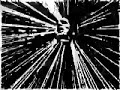 Foxy Shazam-Ghost Animals