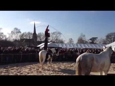 Show lasso à L&rsquo;Hôtellerie-deFlée