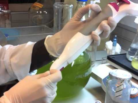 how to isolate cyanobacteria