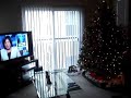New Apartment