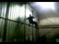 videos de jackass