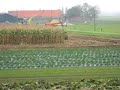 maisoogst 2007 II