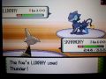 Pokemon Diamond :: Wi-Fi Battle #1 :: Grote-Aap Vs. Mizu