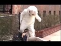 The Easter Bunny Hates You! [Violence]