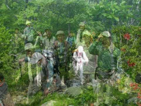 白岩山・向坂山登山