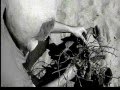 videos de smorg of borlatos