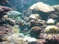 Langkawi Underwater World