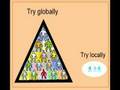 Scholarships for Beginners