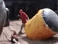 Paintball Bunker Flight