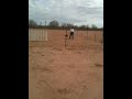 Walk-Up Tadhg JHD -- second leg