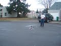 First flight of my T-REX 500! First flight of my T-REX 500!