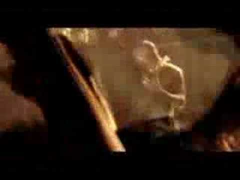 rein raus-live rammstein